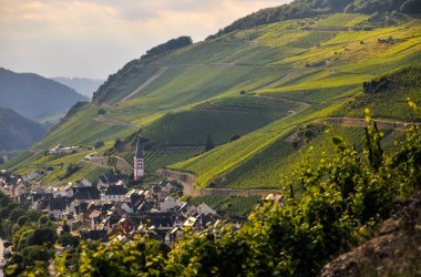 Zell-Merl