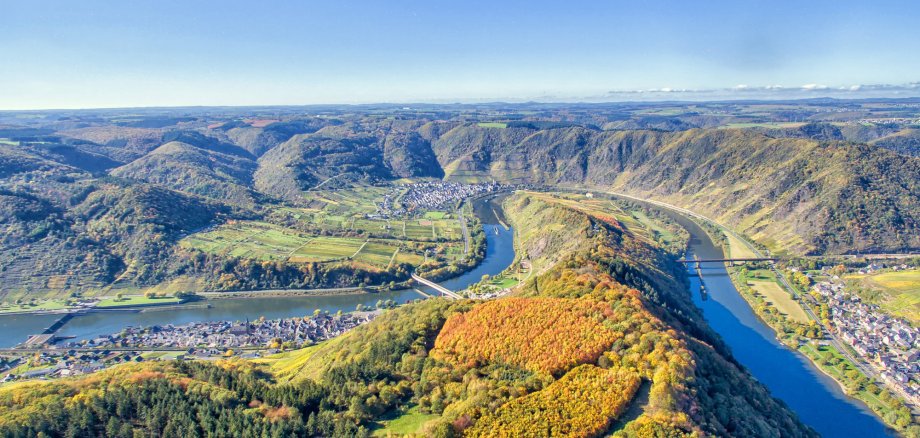 CochemZell Moselkurve bei Neef und Bremm