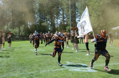 Die Tigers rennen vom Spielfeld während sie von den Cheerleadern angefeuert werden. Ein Spieler, der voraus läuft, trägt die Fahne mit dem Logo der Tigers.