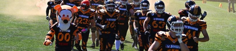 Die Mannschaft Die Mannschaft mit Maskottchen