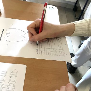 Ergebnisse des praktischen Sonokurses werden dokumentiert.