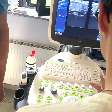 Einer der Famulanten während praktischen Übungen beim Sonografiekurs in Ulmen