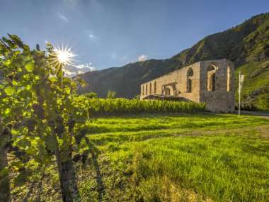 Das Kloster Stuben liegt auf der gegenüberliegenden Moselseite des Calmonts in der Nähe von Bremm an der Mosel