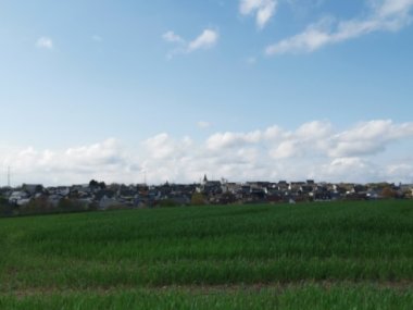 Ortsansicht der Ortsgemeinde Faid in CochemZell