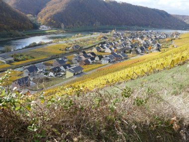 Luftaufnahme der Ortsgemeinde Müden in CochemZell