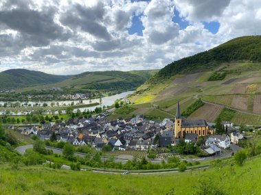 Blick auf die Ortsgemeinde Senheim-Senhals an der Mosel im Kurvenkreis CochemZell