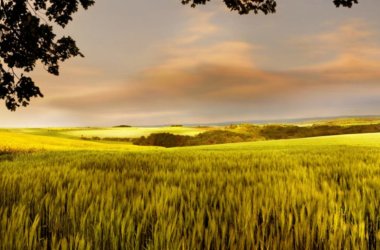 Panorama der Umgebung der Ortsgemeinde Forst in CochemZell