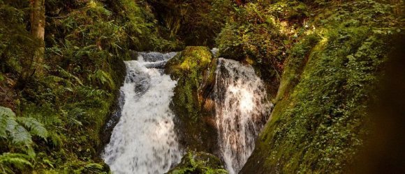Wasserfall "Rausch" Wasserfall "Rausch" im Wald im Martental