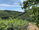 Aussichtspunkt Echobank in der Ortsgemeinde Beuren in CochemZell
