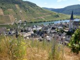 Frühling in Briedel frühlingshafte Fotoaufnahme von Briedel an der Mosel