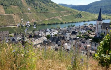 frühlingshafte Fotoaufnahme von Briedel an der Mosel