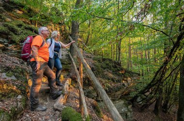 Wandern auf der Traumschleife Layensteig Strimmiger Berg.
